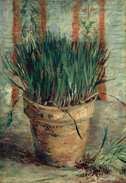 Van-Gogh1.jpg